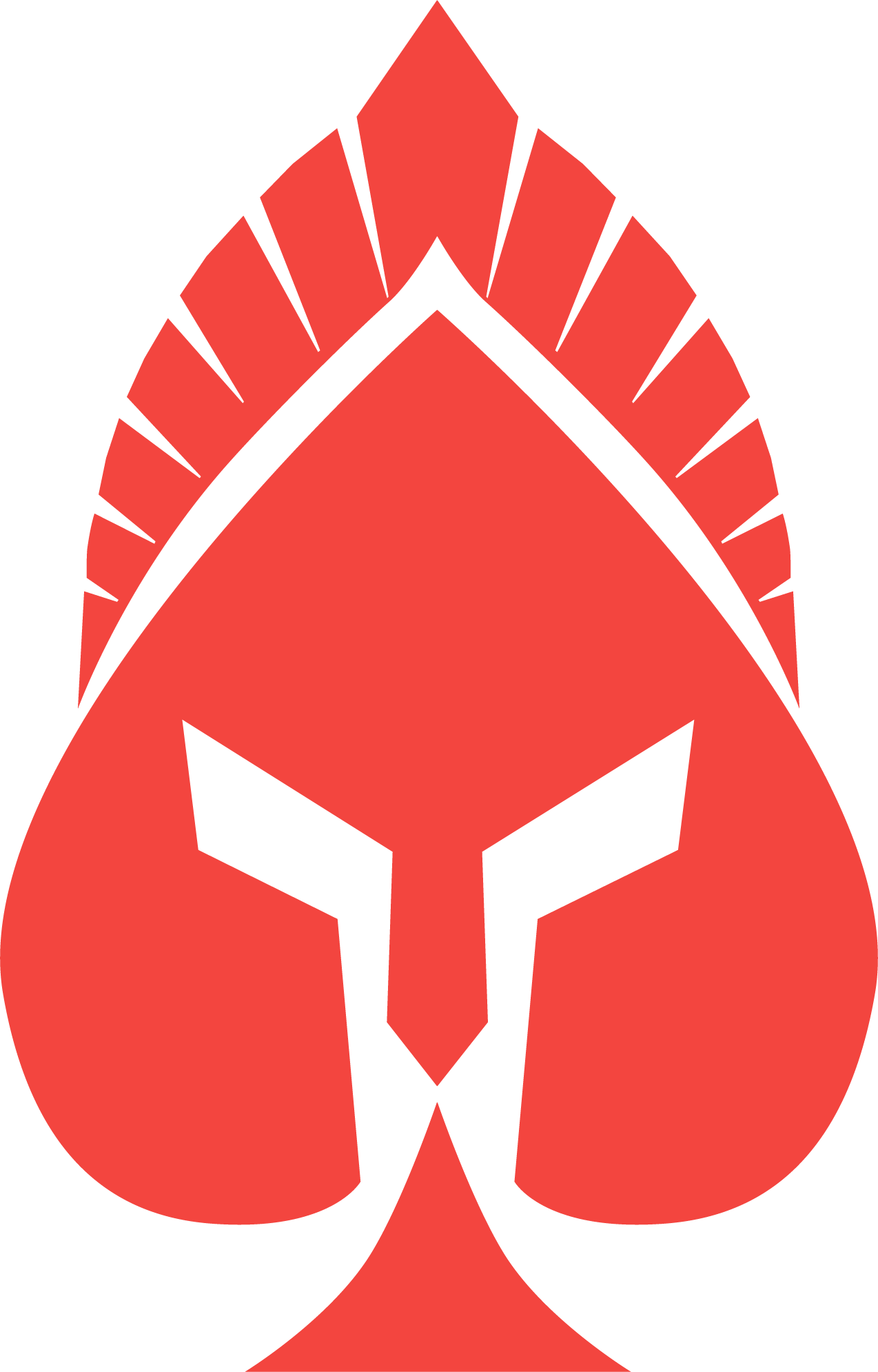 QAce logo